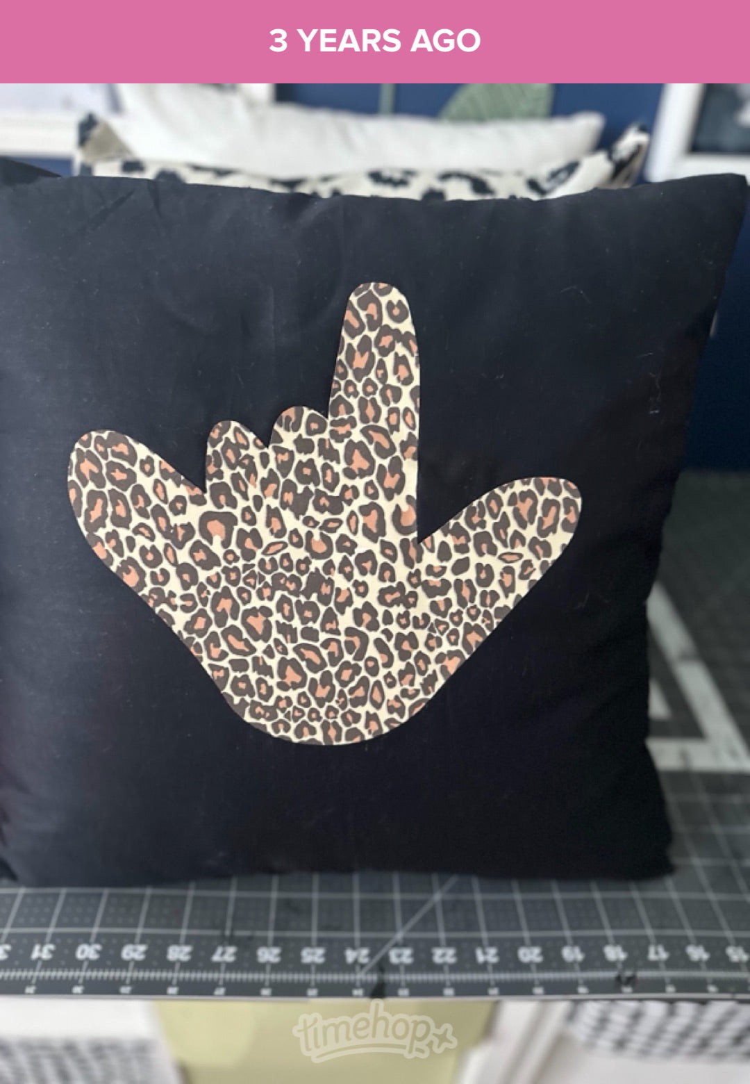 ASL Pillow Case